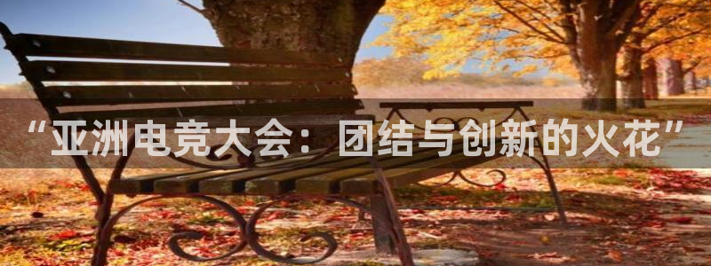 MK电竞官网：“亚洲电竞大会：团结与创新的火花”