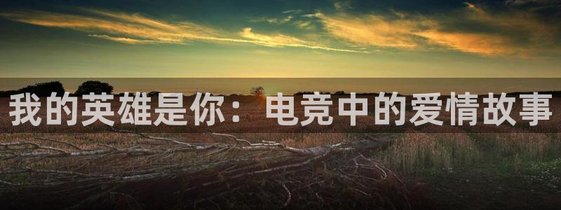 MK电竞官网：我的英雄是你：电竞中的爱情故事
