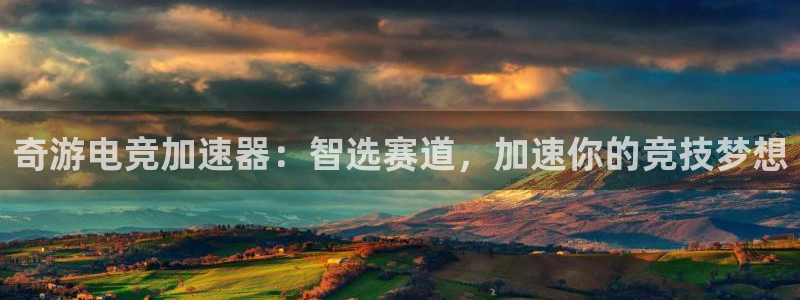 MK电竞官网：奇游电竞加速器：智选赛道，加速你的竞技梦想