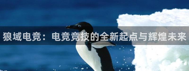 MK电竞官网：狼域电竞：电竞竞技的全新起点与辉煌未来