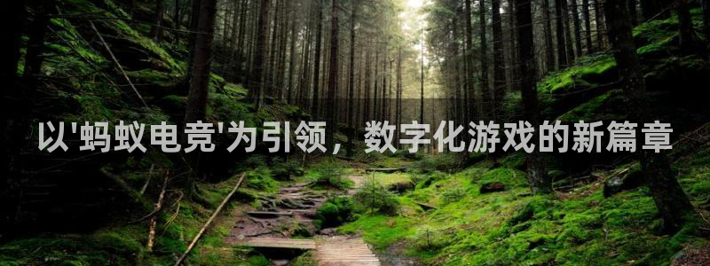 mk电子竞技：以\'蚂蚁电竞\'为引领，数字化游戏的新篇章